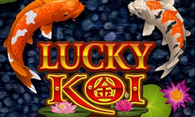 Lucky Koi